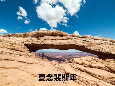 夏念裴斯年小说热门全集在线观看 夏念裴斯年免费章节试读