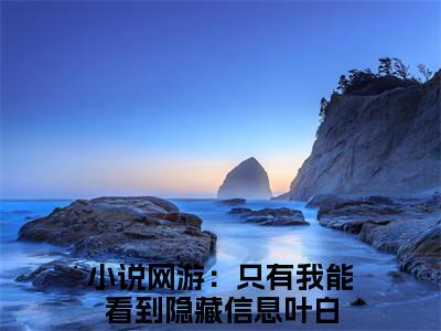 小说推荐网游：只有我能看到隐藏信息叶白精彩章节全文阅读-（网游：只有我能看到隐藏信息叶白）新书热荐免费小说