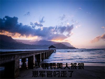 苏念栀秦啸云（八零：病弱美人被狼崽军官叼走了）全文免费阅读无弹窗大结局_（苏念栀秦啸云）八零：病弱美人被狼崽军官叼走了全文阅读-笔趣阁（苏念栀秦啸云）