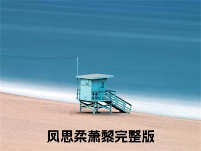 满分小说（凤思柔萧黎）全文免费阅读 凤思柔萧黎言情小说讲的是什么