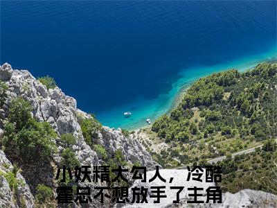 霍砚岑桑(小妖精太勾人，冷酷霍总不想放手了)全文免费阅读无弹窗大结局_霍砚岑桑免费阅读无弹窗最新章节列表_笔趣阁(小妖精太勾人，冷酷霍总不想放手了)