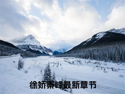 徐娇秦峰全文免费阅读小说今日已更新最新章节_徐娇秦峰全文免费阅读最新章节列表