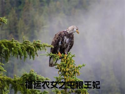 叶安安阿宁最新热门小说-（福运农女之屯粮王妃）最新章节免费阅读