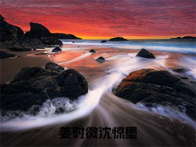 姜时微沈惊墨（姜时微沈惊墨）全文免费阅读大结局-姜时微沈惊墨小说全文免费阅读最新章节列表