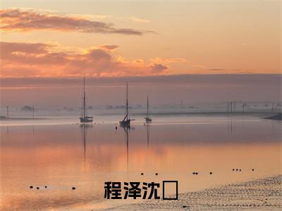 程泽沈玥现言热文程泽沈玥在线阅读-（程泽沈玥）小说分享大结局程泽沈玥