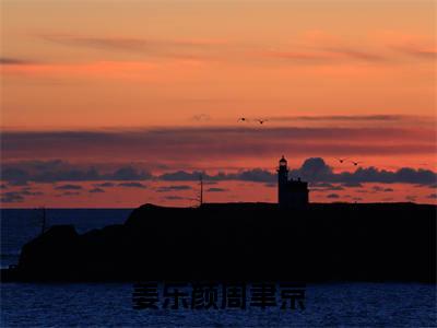 嫁给京海太子爷的第四年，她跳崖身亡了小说讲的是什么-姜乐颜周聿京精彩章节目录观看