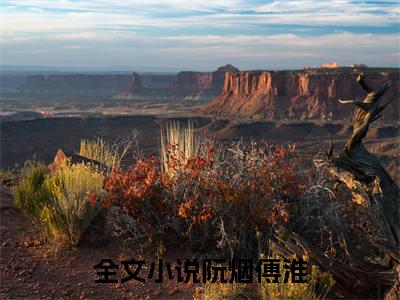 阮烟傅淮（阮烟傅淮）全文免费阅读无弹窗大结局_阮烟傅淮最新章节列表_笔趣阁（阮烟傅淮）