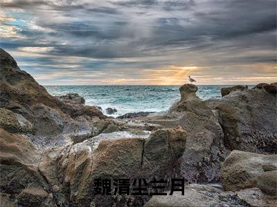 魏清尘兰月知乎美文欣赏完整版，魏清尘兰月精彩章节在线阅读