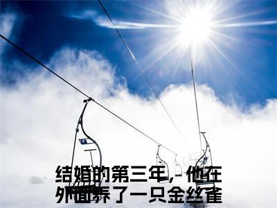 结婚的第三年，他在外面养了一只金丝雀（沈烟怀姜姒）全文免费阅读无弹窗大结局_沈烟怀姜姒小说免费最新章节列表_笔趣阁