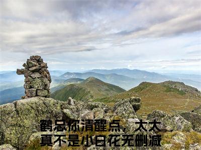 鹤闻殊温皎（鹤总你清醒点，太太真不是小白花）精选好书-鹤总你清醒点，太太真不是小白花无删减小说在线阅读（鹤闻殊温皎全文免费阅读）