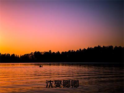 沈燮卿卿（沈燮卿卿）全文免费阅读无弹窗大结局_沈燮卿卿全文在线阅读