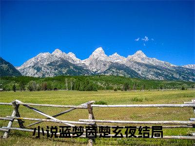 蓝梦茵楚玄夜小说大结局精彩推荐，蓝梦茵楚玄夜全文完整版在线阅读