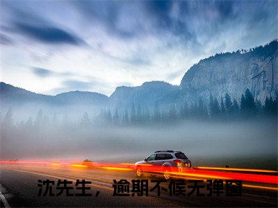 沈先生，逾期不候快手小说（孟琼沈逢西）txt阅读大结局-抖音近期热门沈先生，逾期不候全文免费