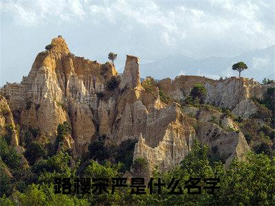路樱宋严正版小说最新章节在线阅读-完结版小说（路樱宋严）