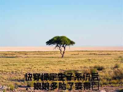 快穿绑定生子系统后，娘娘多胎了姜景玥小说免费阅读-（快穿绑定生子系统后，娘娘多胎了姜景玥）言情小说快穿绑定生子系统后，娘娘多胎了姜景玥讲的是什么