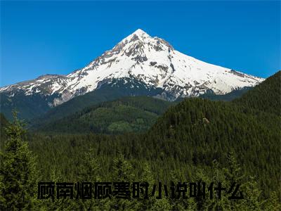 顾南烟顾寒时豪门小说《顾南烟顾寒时》最新章阅读-顾南烟顾寒时小说今日更新