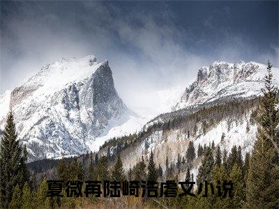 夏微苒陆崎浩是什么小说-夏微苒陆崎浩无弹窗免费阅读大结局最新章节列表_笔趣阁