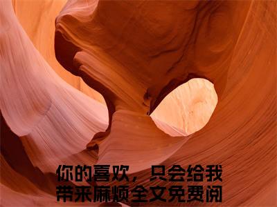 你的喜欢，只会给我带来麻烦全文免费免费阅读无弹窗最新章节列表_笔趣阁（盛吟微厉书昱全文免费）