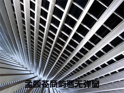 孟颜苓商屿寒（孟颜苓商屿寒小说全文）在线阅读无弹窗大结局-孟颜苓商屿寒全文无删减版阅读