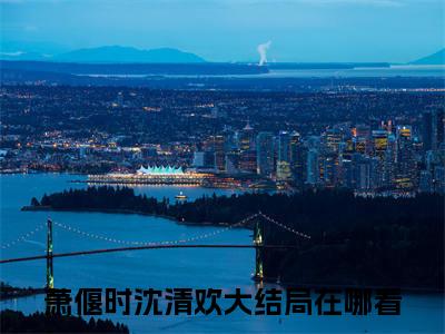 萧偃时沈清欢全文免费阅读大结局 纵然知晓是欺骗，却仍有期盼最新章节列表