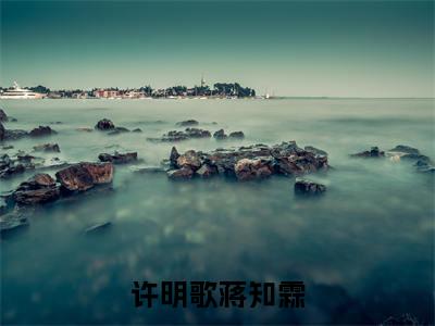 许明歌蒋知霖（许明歌蒋知霖）知乎小说-小说许明歌蒋知霖大结局免费阅读
