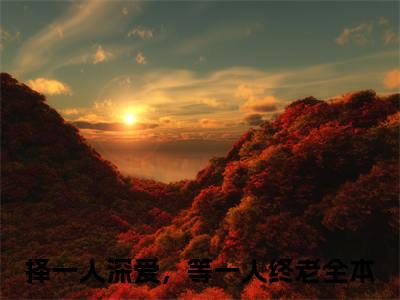 择一人深爱，等一人终老（云薇薇陆斯年）最火免费小说最新更新-择一人深爱，等一人终老（云薇薇陆斯年）全文已更新最新章节