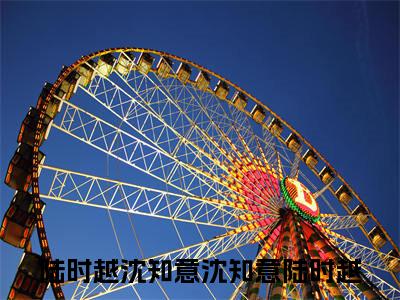 沈知意陆时越（陆时越沈知意）精彩小说-小说陆时越沈知意全文无删减版免费阅读