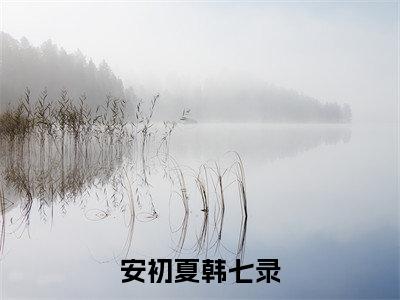 安初夏韩七录（安初夏韩七录）全文免费阅读无弹窗大结局_韩七录安初夏小说最新章节列表_笔趣阁