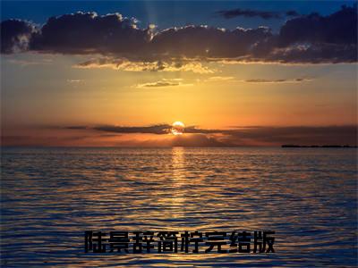 陆景辞简柠小说免费阅读-（陆景辞简柠）言情小说陆景辞简柠讲的是什么