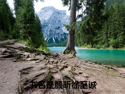 颜昕徐至诚小说（京圈佳话）全文免费阅读无弹窗大结局_京圈佳话颜昕徐至诚小说最新章节列表_笔趣阁（京圈佳话）