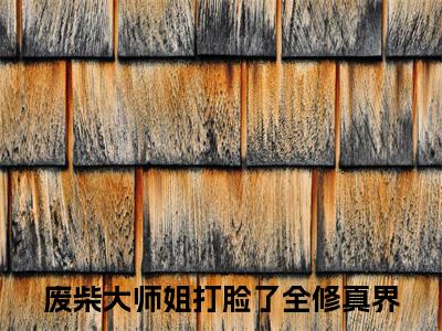 废柴大师姐打脸了全修真界凤青梧小说全文免费阅读无弹窗大结局_(凤青梧)废柴大师姐打脸了全修真界最新章节列表笔趣阁（废柴大师姐打脸了全修真界）