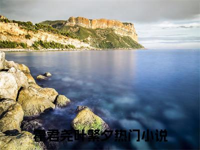 霍君尧叶繁夕（霍君尧叶繁夕）全文免费阅读大结局_霍君尧叶繁夕最新章节列表_笔趣阁