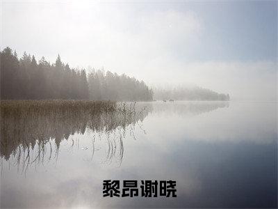黎昂谢晓（黎昂谢晓）全文免费阅读无弹窗大结局_黎昂谢晓最新章节列表-笔趣阁黎昂谢晓