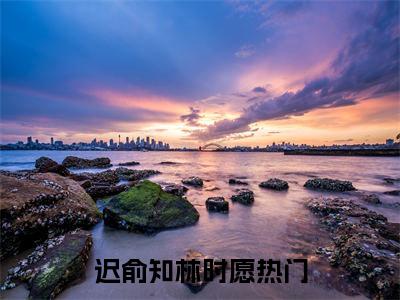 迟俞知林时愿小说全文免费阅读无弹窗大结局_他发现他的作精小娇妻换了个人最新章节列表_笔趣阁