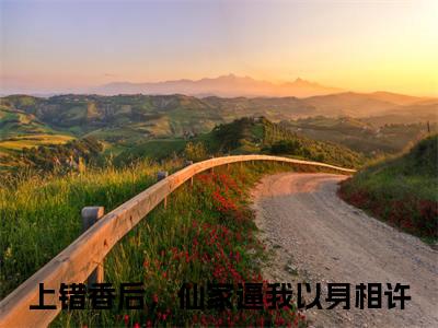 沈安安(上错香后，仙家逼我以身相许)全文免费阅读_（上错香后，仙家逼我以身相许）小说沈安安最新章节阅读