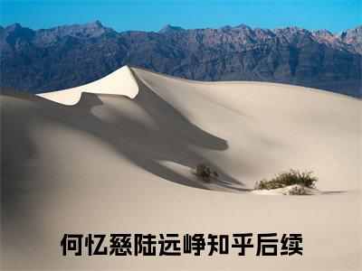 何忆慈陆远峥（何忆慈陆远峥）全文免费阅读无弹窗大结局_何忆慈陆远峥免费最新章节列表_笔趣阁