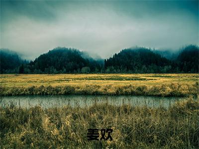 姜欢（姜欢）小说全文免费阅读正版无弹窗_欢谋小说免费阅读全文无弹窗_笔趣阁