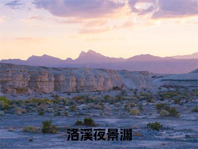 洛溪夜景渊小说-（洛溪夜景渊）小说全文免费阅读