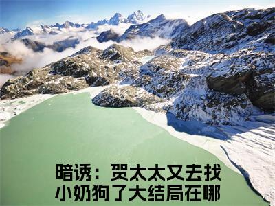 小说贺庭舟温欲晚（暗诱：贺太太又去找小奶狗了）大结局免费阅读-暗诱：贺太太又去找小奶狗了最新热门小说全文阅读