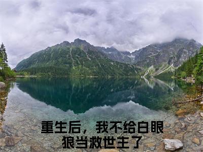 重生后，我不给白眼狼当救世主了全文免费阅读无弹窗大结局_(重生后，我不给白眼狼当救世主了)最新章节列表笔趣阁（顾晟白焰）