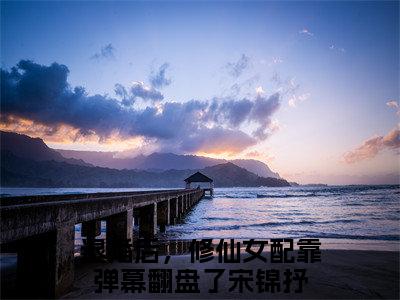 退婚后，修仙女配靠弹幕翻盘了(宋锦抒)全文免费阅读无弹窗大结局_(退婚后，修仙女配靠弹幕翻盘了免费阅读)宋锦抒无弹窗最新章节列表