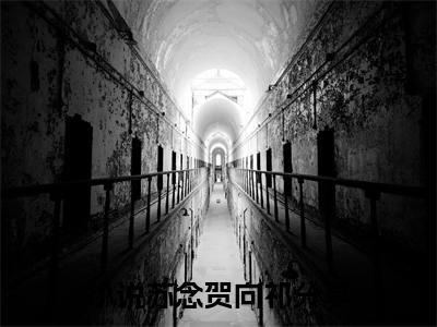 苏念贺向祁小说在线阅读(苏念贺向祁)_苏念贺向祁小说最新章节
