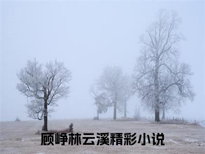 顾峥林云溪（顾峥林云溪）全文免费阅读（顾峥林云溪）小说无弹窗阅读
