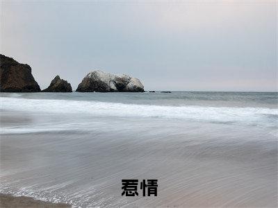 苏今沅陆野（惹情免费小说）全文免费阅读无弹窗大结局_惹情免费小说最新章节列表_笔趣阁