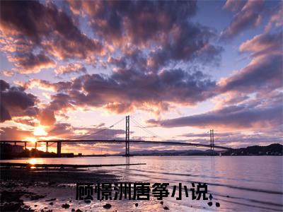 小说《顾憬洲唐筝》全文免费阅读无弹窗-顾憬洲唐筝小说全文在线赏析_笔趣阁