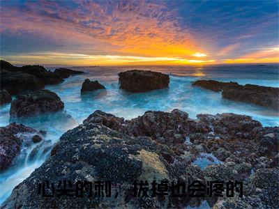 许晚容以勋小说（心尖的刺，拔掉也会疼的）全文在线阅读无弹窗大结局许晚容以勋