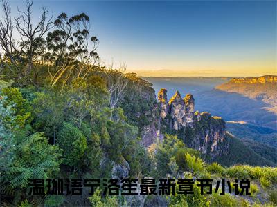 温珈语宁洛笙小说无广告免费阅读无删减