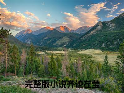 齐迹左莹小说大结局精彩推荐，齐迹左莹全文完整版在线阅读