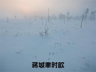 蒋城聿时歆近期热推小说-蒋城聿时歆小说精彩阅读