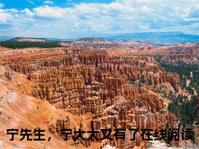（宁时御林暖）在线阅读-主角是（宁先生，宁太太又有了）的小说宁时御林暖全文赏析最新章节列表_笔趣阁